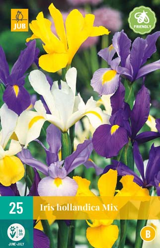 Bulb Iris hollandia (floarea doamnei) mix 25 bucăți JUB