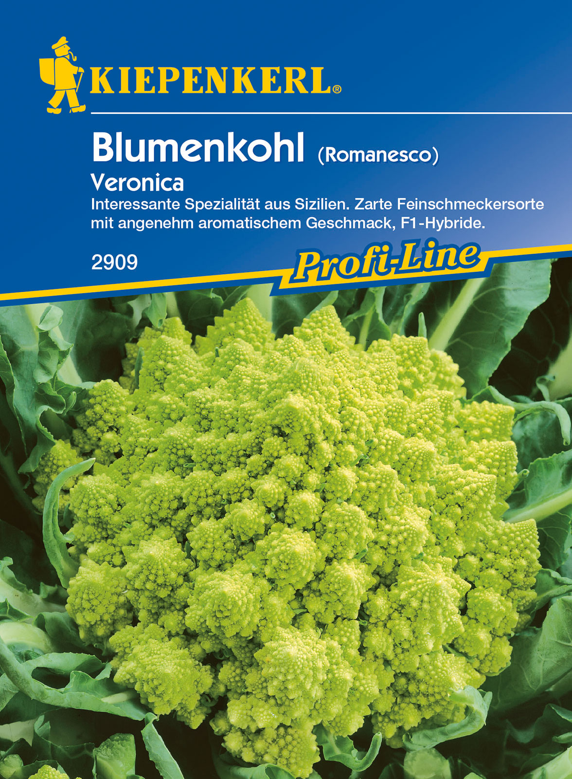 Pagoda (Romanesco) cauliflower Veronica F1 Kiepenkerl 30 pcs