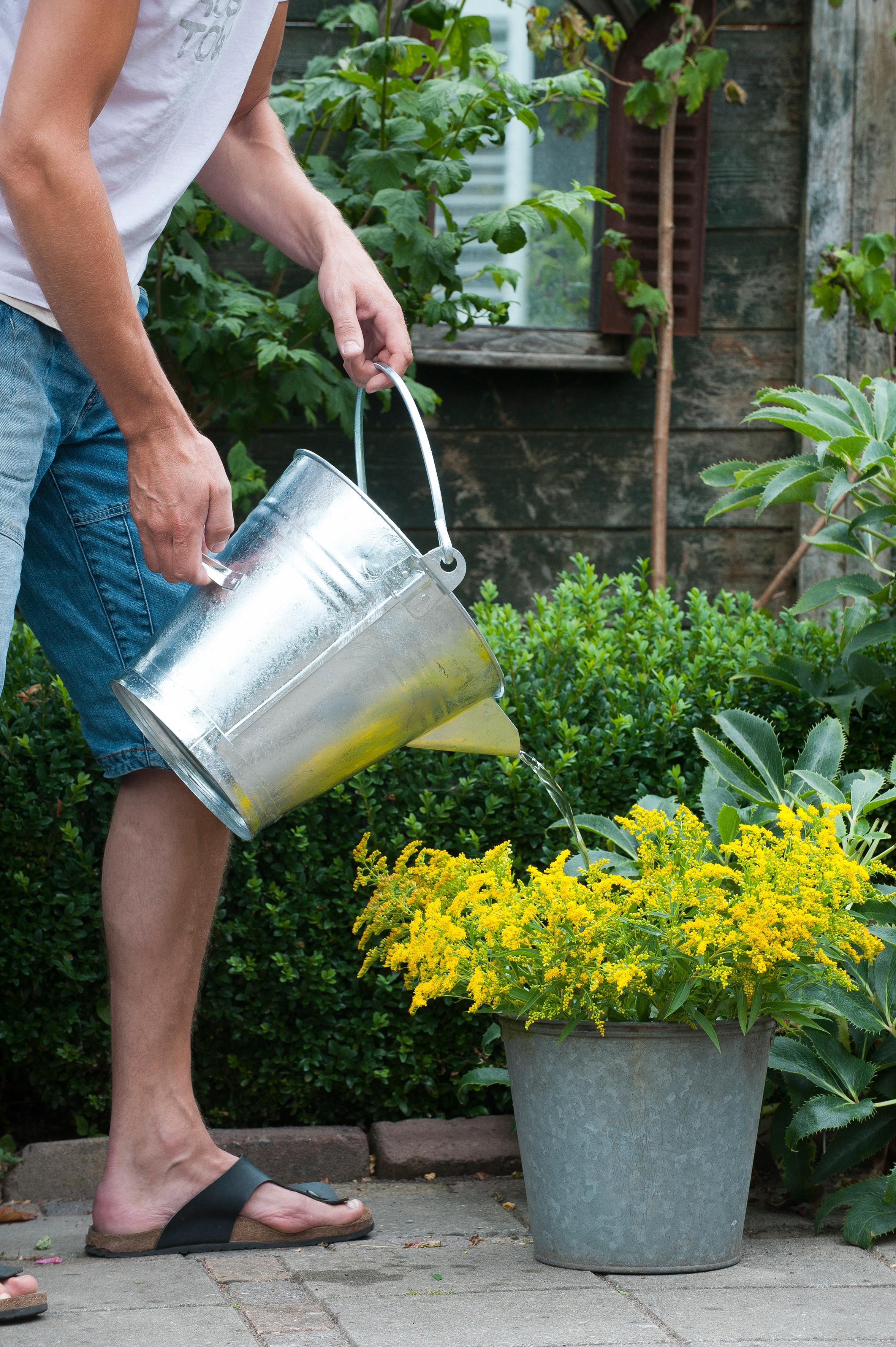 Vödör 11,3l galvanizált