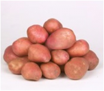 Tuberculi de cartofi trataţi "Desirée" 50 de buc.