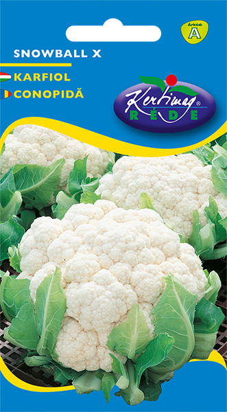 Conopidă Snowball X 1 g