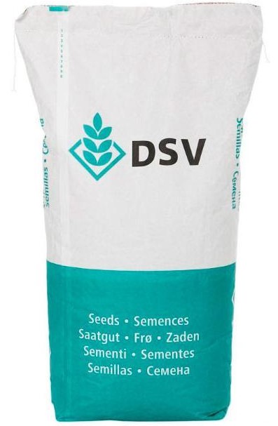 Fűmag DSV Speed Green felülvetéshez 10 kg