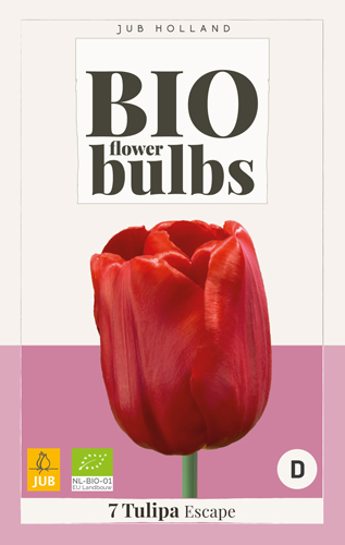 Bulb de flori BIO Tulip Escape 7 bucăți JUB