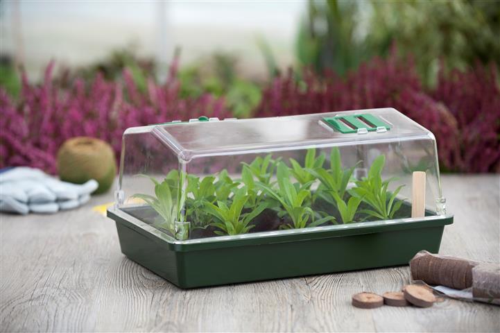 Propagator (Mini-sere) cu ventilație