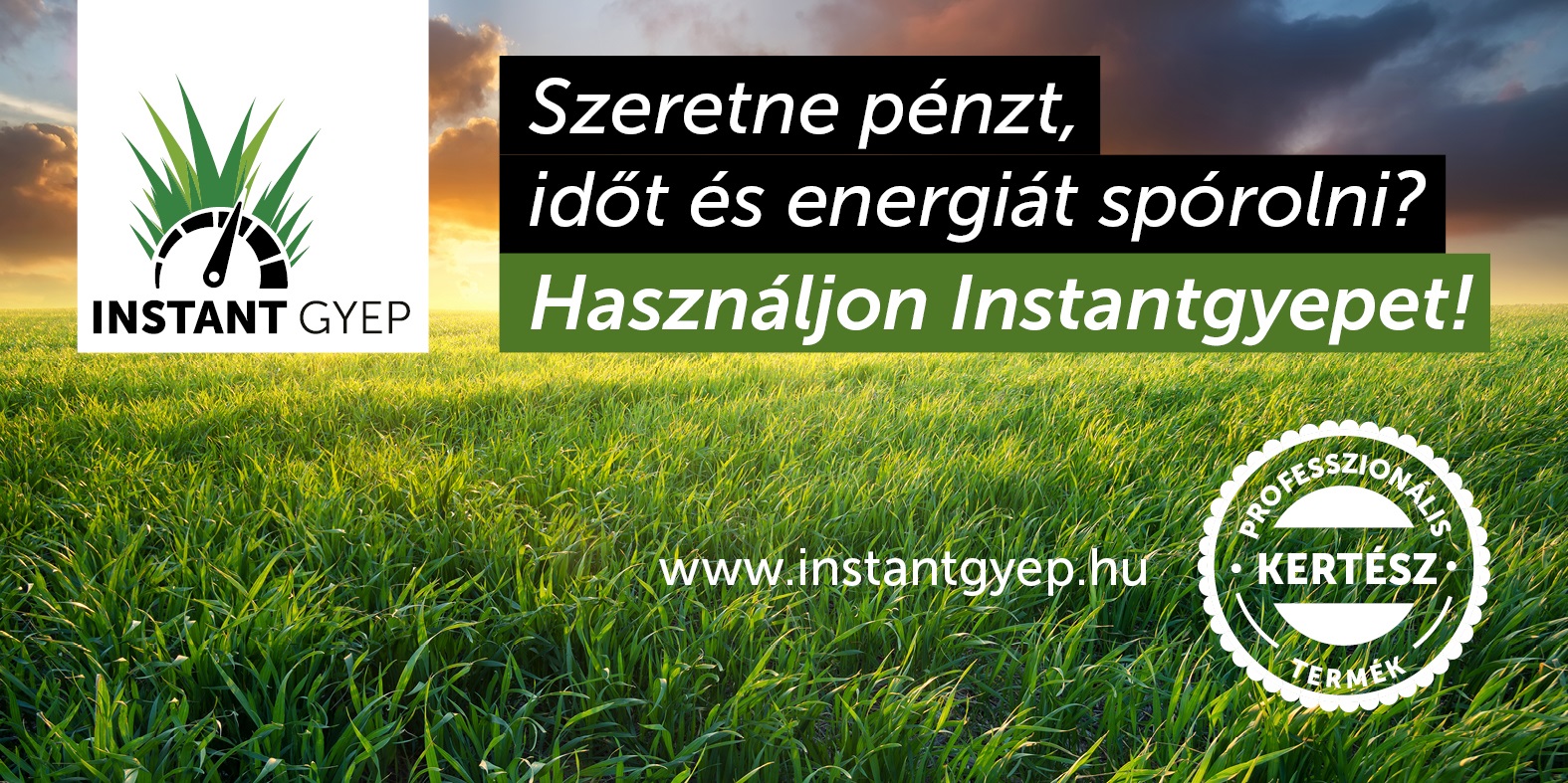 Gazon instant 10l