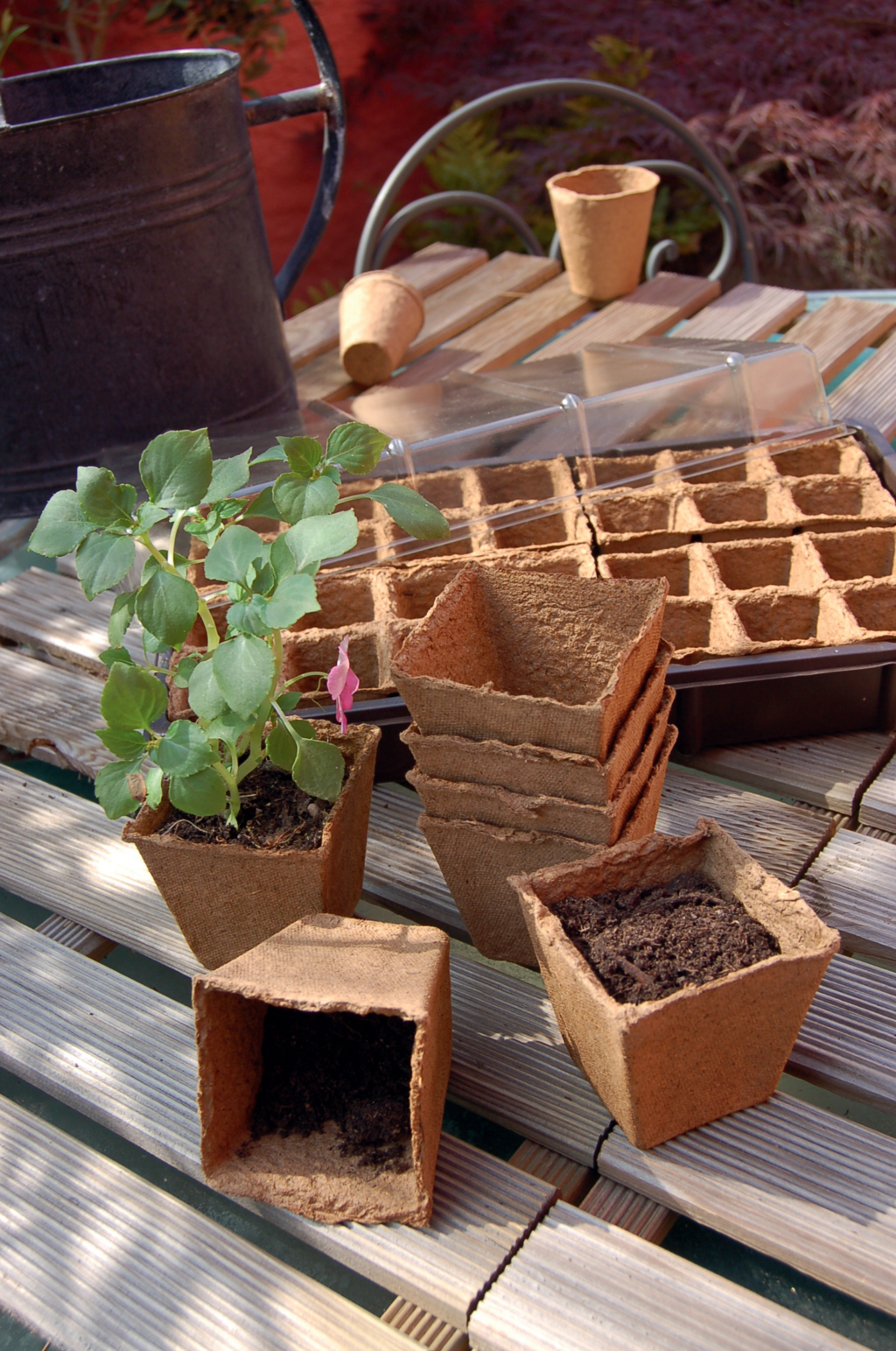 Tőzegcserép "Growing pots" 6x6 cm 20 db natur