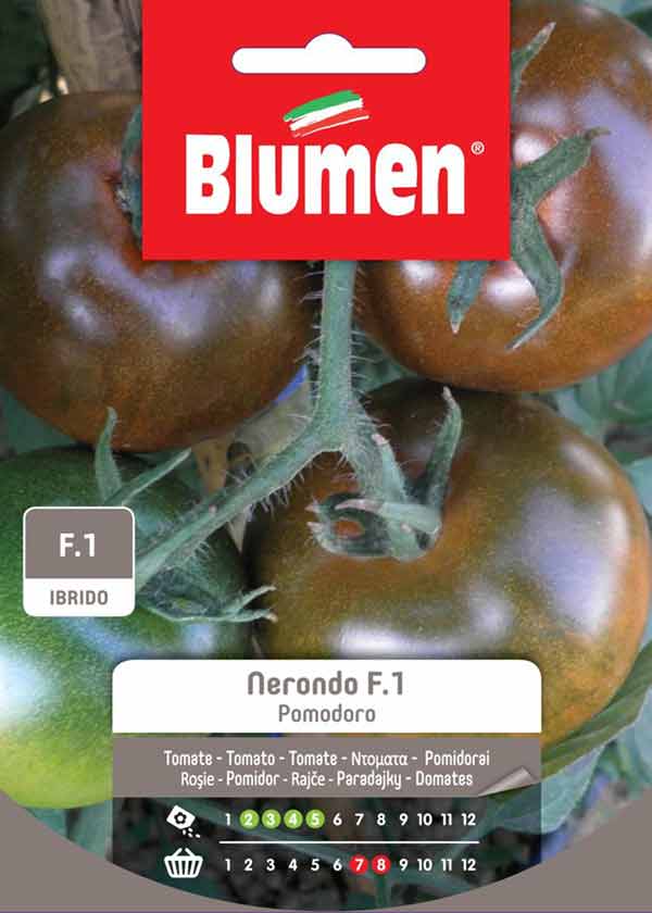 Black tomato Nerondo F1 hybrid flowers 0,1g