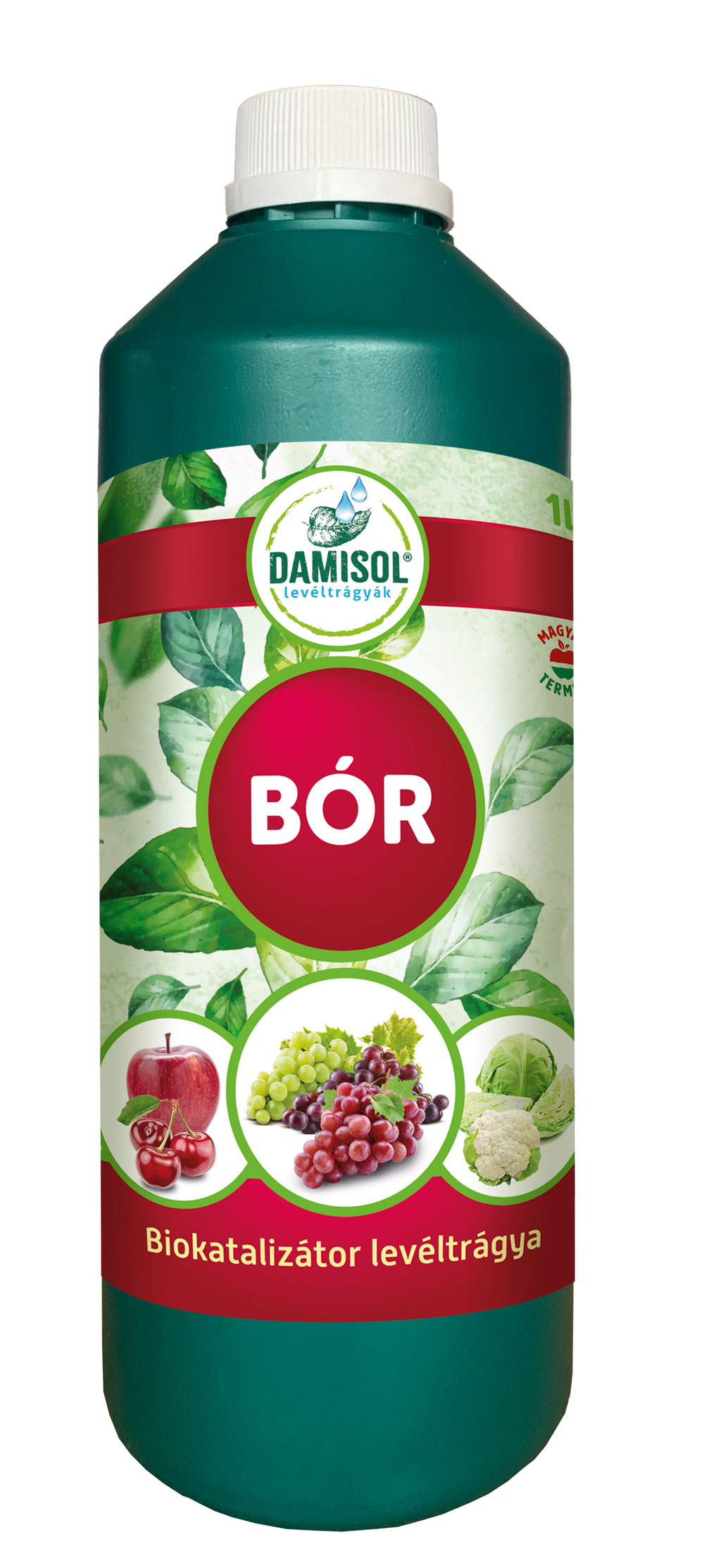 Damisol Bor 1 l