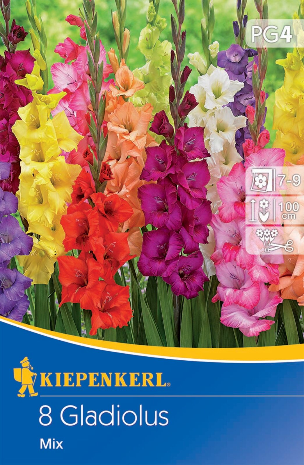 Bulb de flori Swordflower Mix Kiepenkerl 8 buc