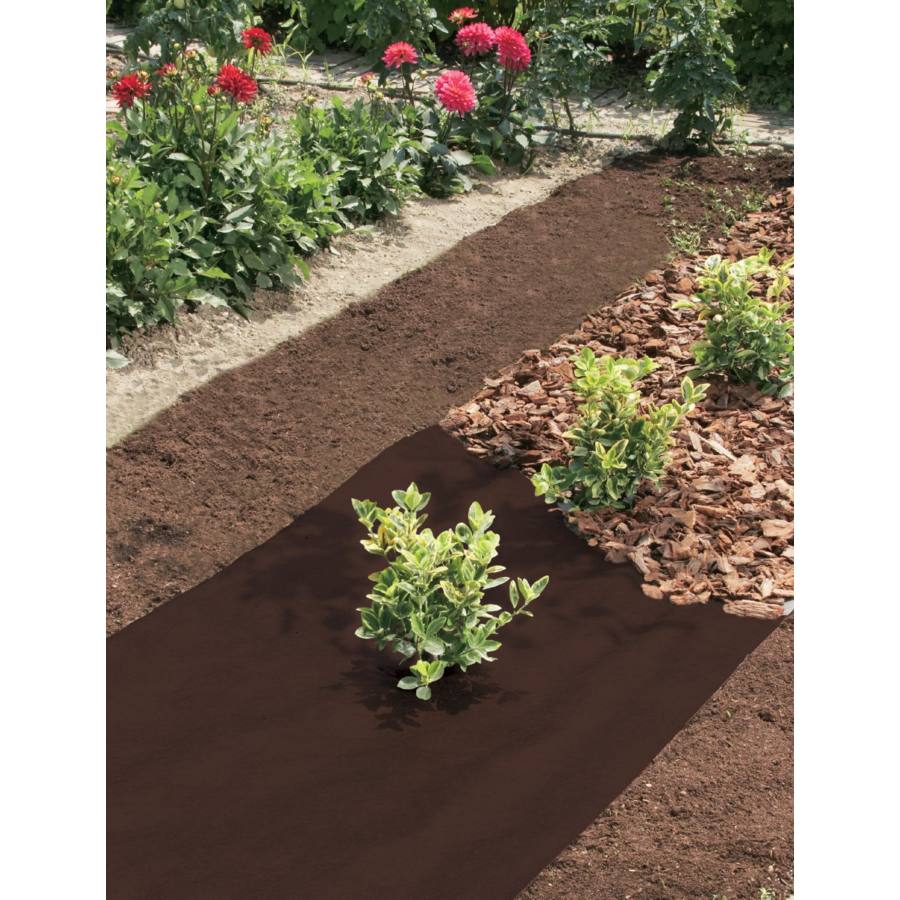 Ground cover Antiherbas Geotex 80g/m2 1,6x10m