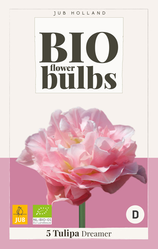 Bulb de flori BIO Tulip Dreamer 5 bucăți JUB