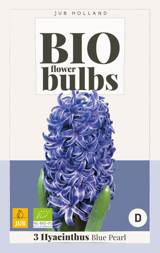 Bulbi de flori BIO Hyacinth Blue Pearl 3 buc JUB