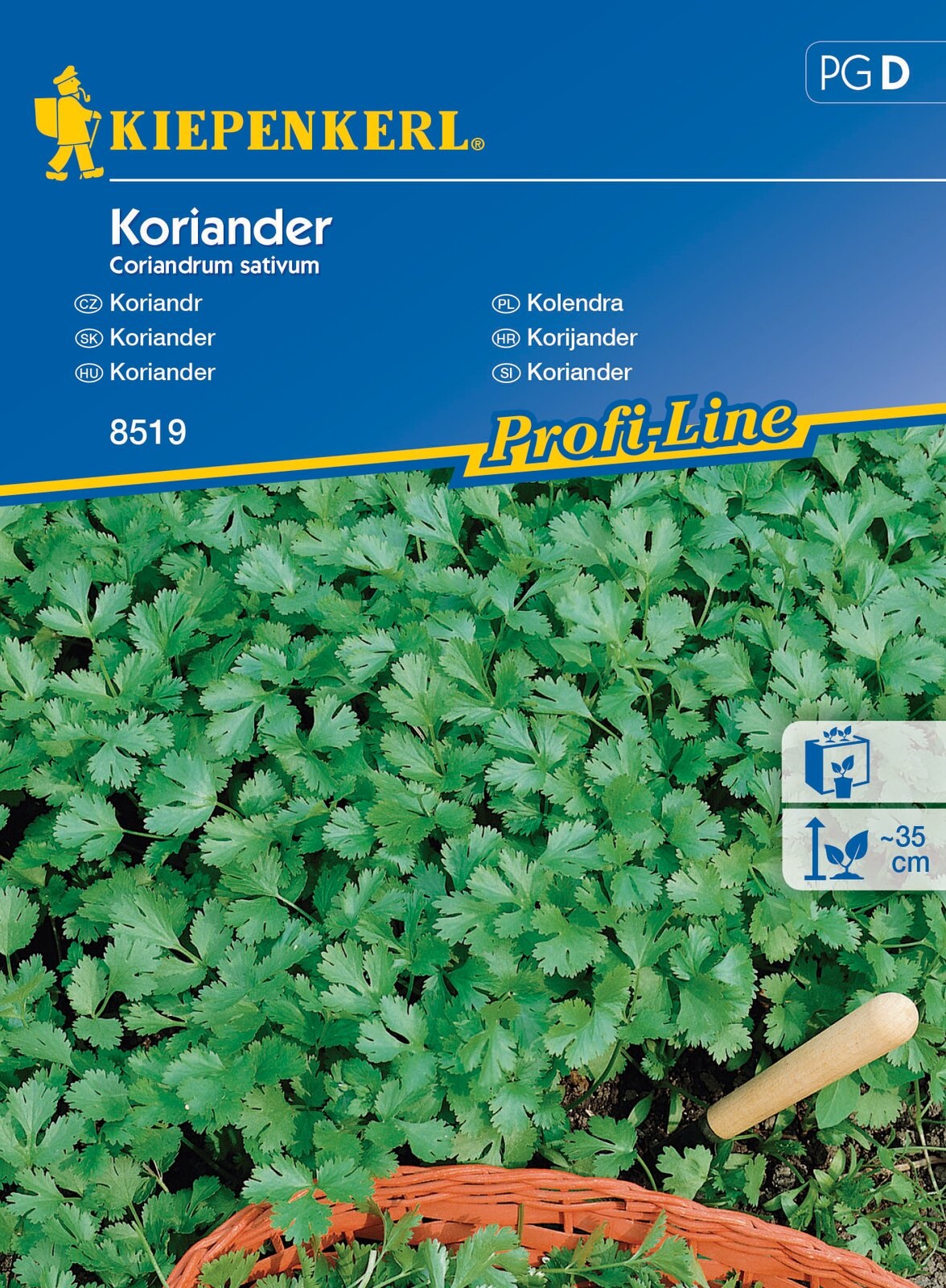 Coriander leaf Caribe Kiepenkerl approx 250 seeds