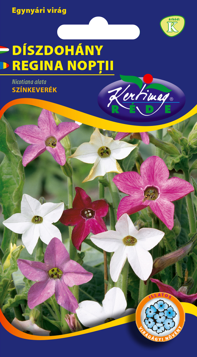 Nicotiana alata (Regina nopţii) amestec de culori 1 gr