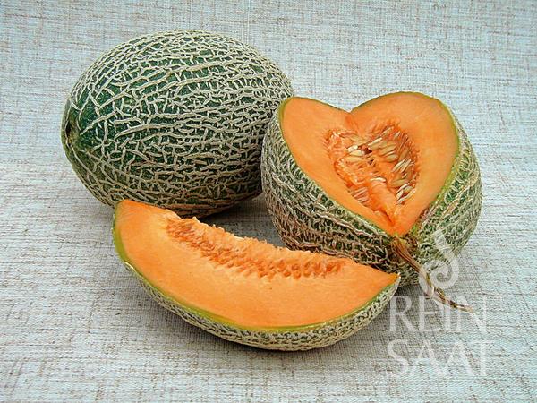 Cantalup organic Best Jumbo Pure Seed aproximativ 25 de semințe