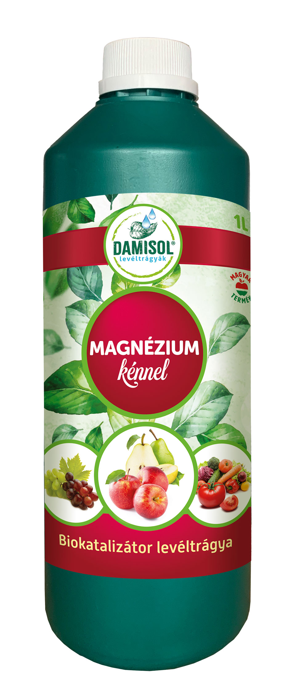 Damisol Magneziu 1 l