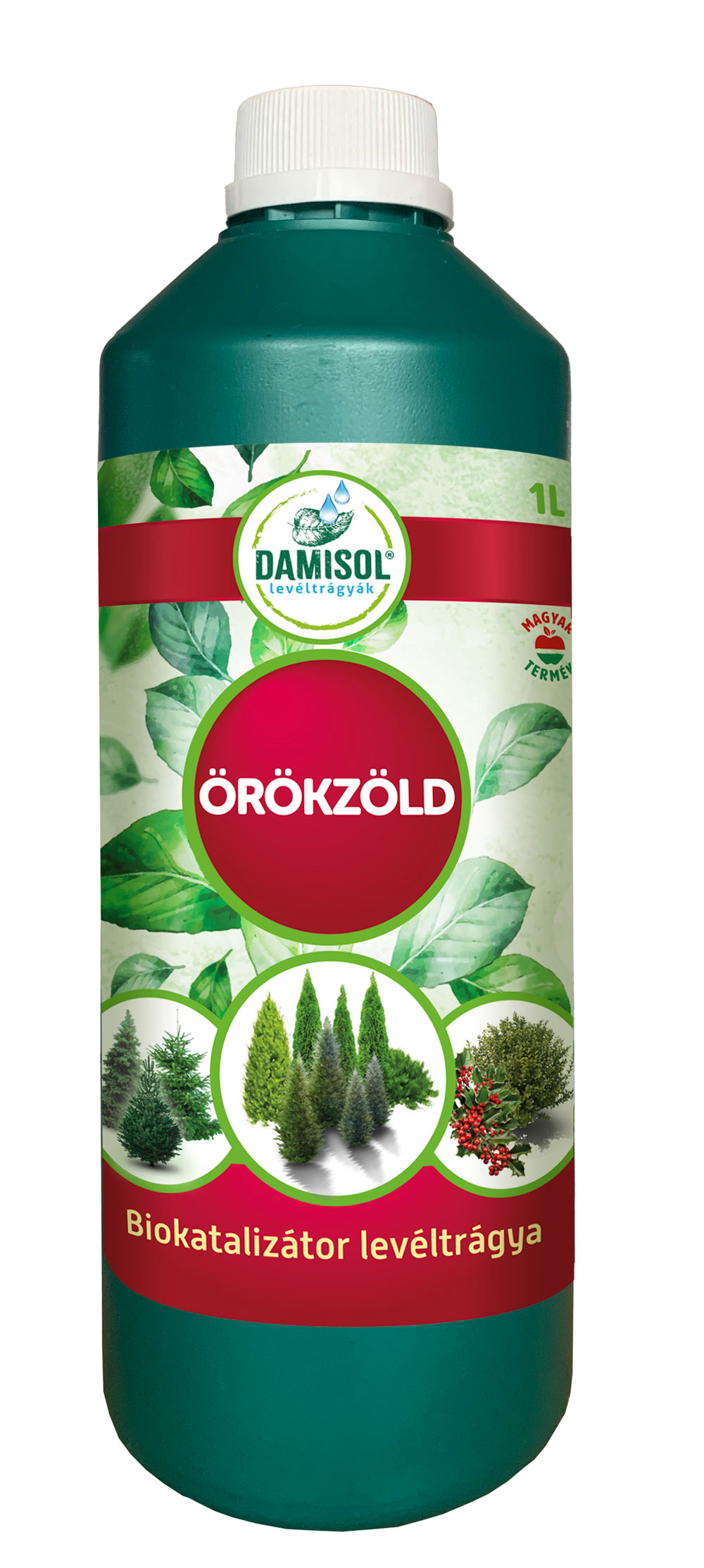 Damisol Evergreen