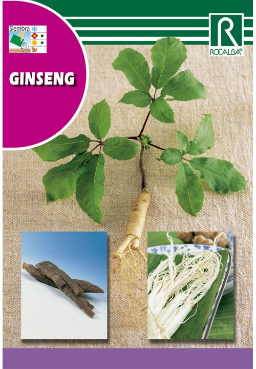 Ginseng Rocalba 4 szem