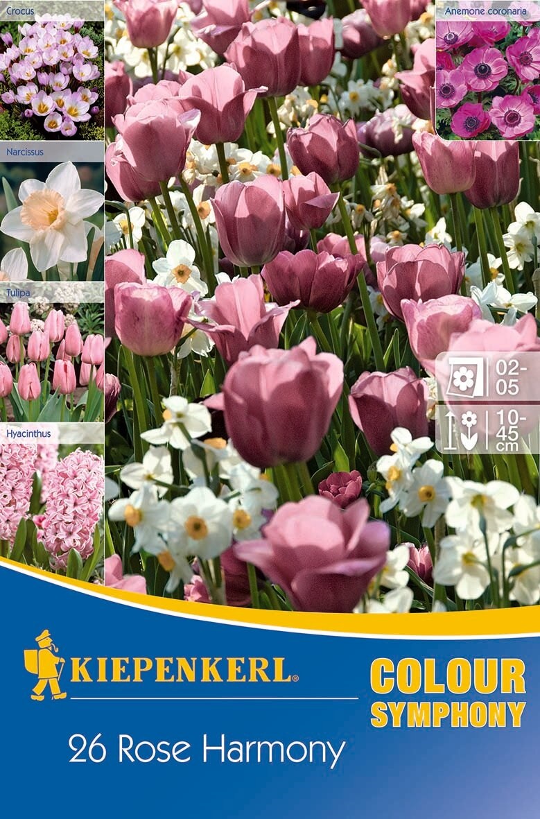 Colour Symphony Mega Pack Rose Harmony 26 bulbs Kiepenkerl