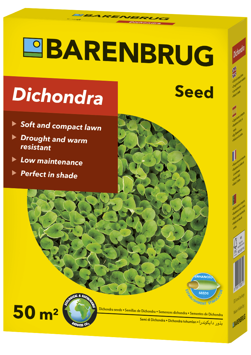 Covor verde de acoperit sol -Dichondra repens Barenbrug 500 g