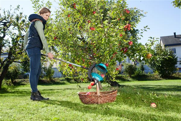 cs dispozitiv pentru colectarea fructelor