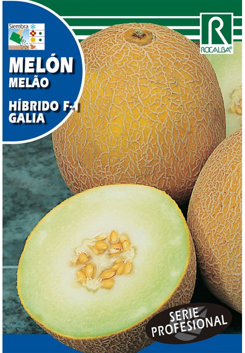 Cantalup Galia F1 (pulpă verde) Rocalba 0,5 g