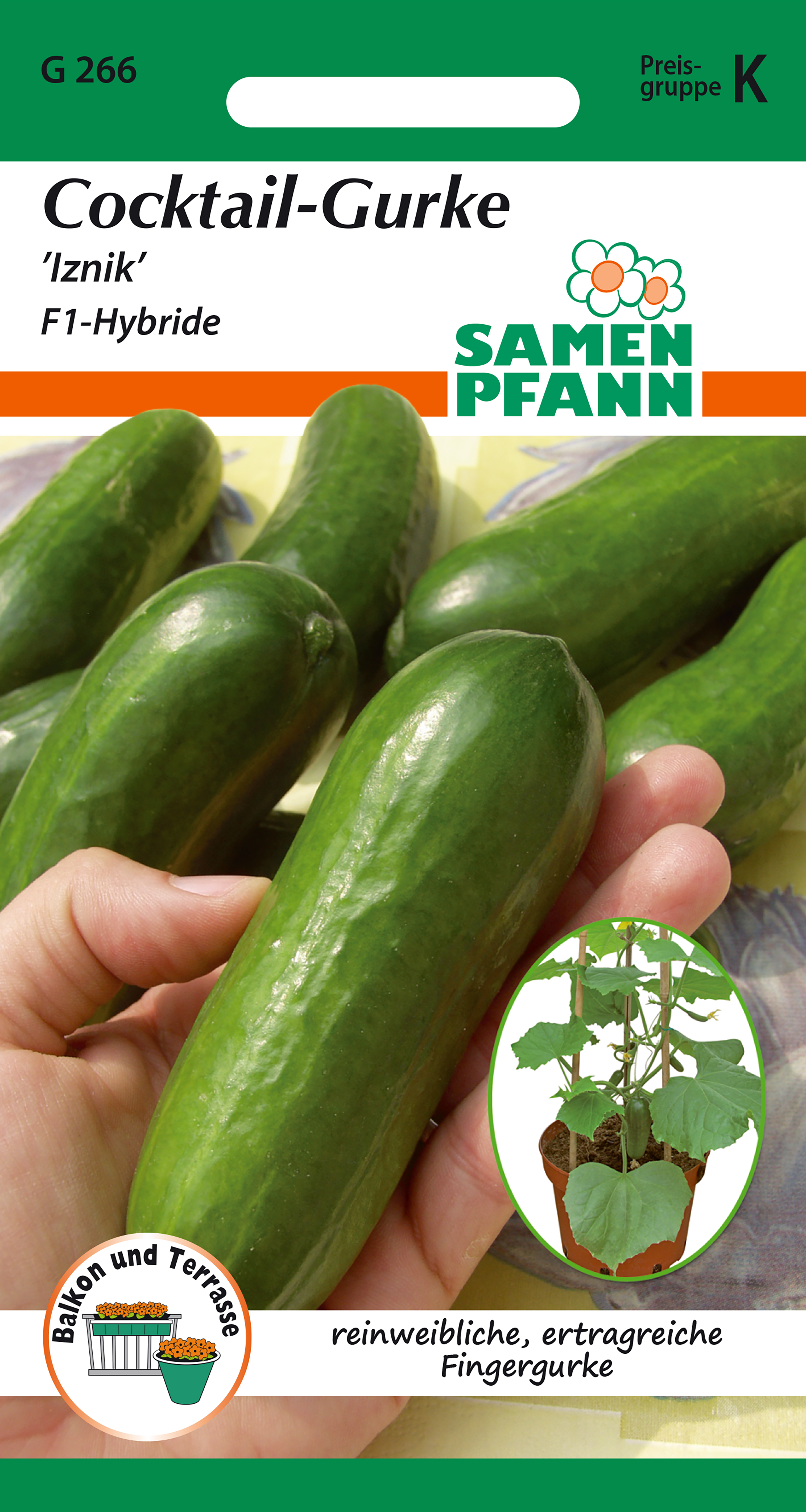 Cucumber cocktail Iznik F1 6 seeds seeds Pfann