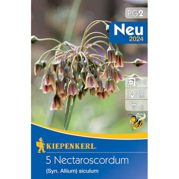 Bulb de flori usturoi sicilian cu miere (Nectaroscordum) 5 buc Kiepenkerl