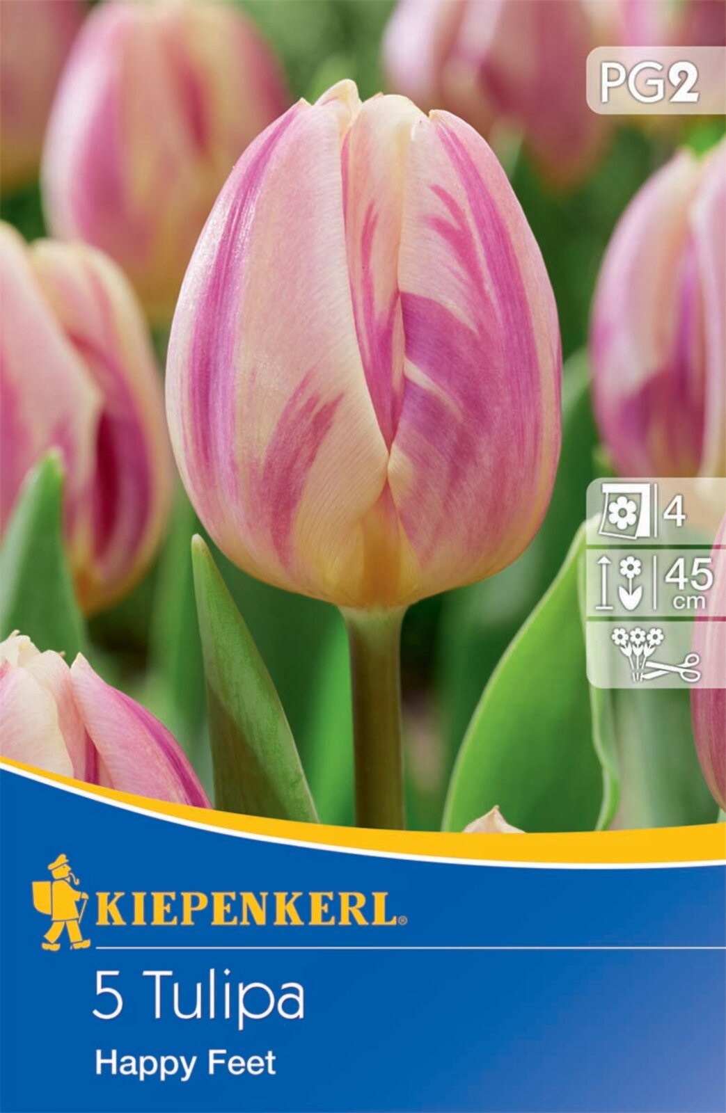 Bulb de flori Lalea Happy Feet 5 buc Kiepenkerl