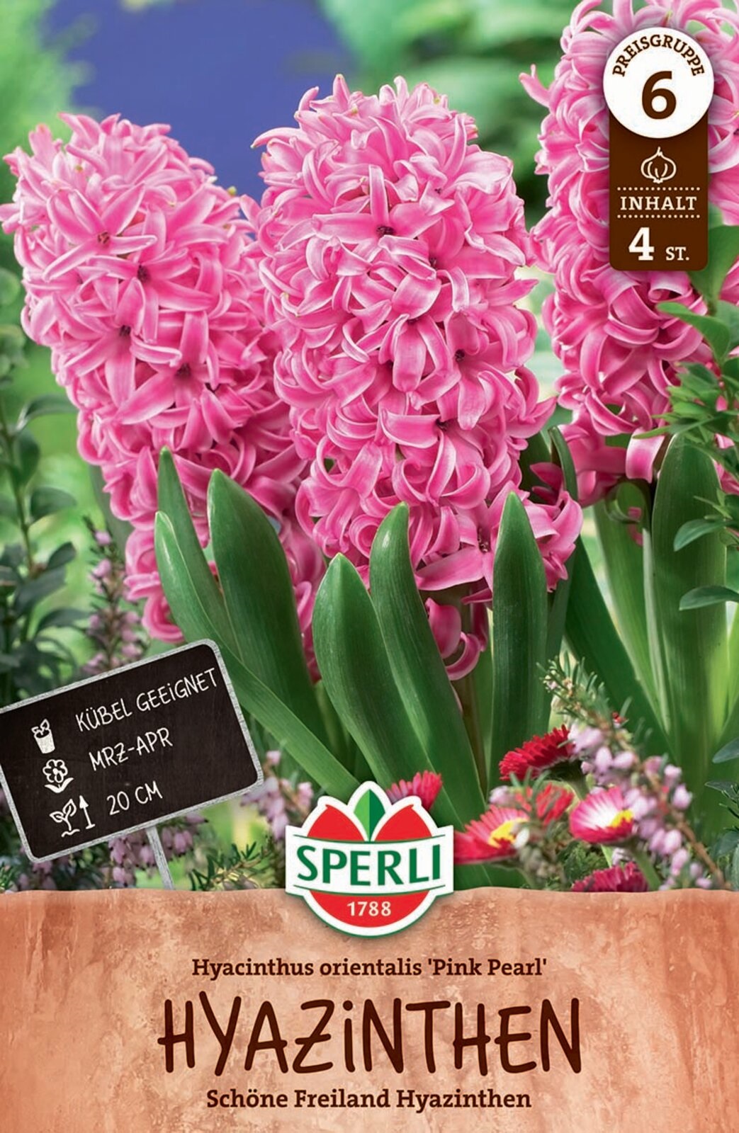 Flower Bulb Hyacinth Pink Pearl 4 pcs Sperli