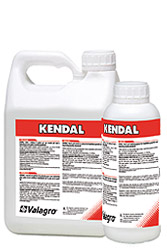 Kendal 1 l